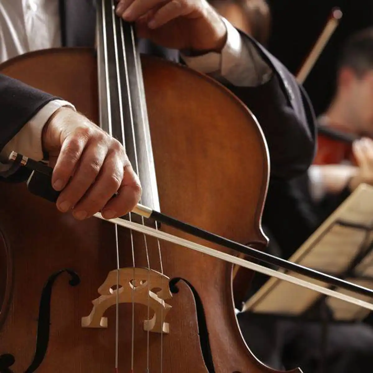Royal Hill Music Academy photo 2