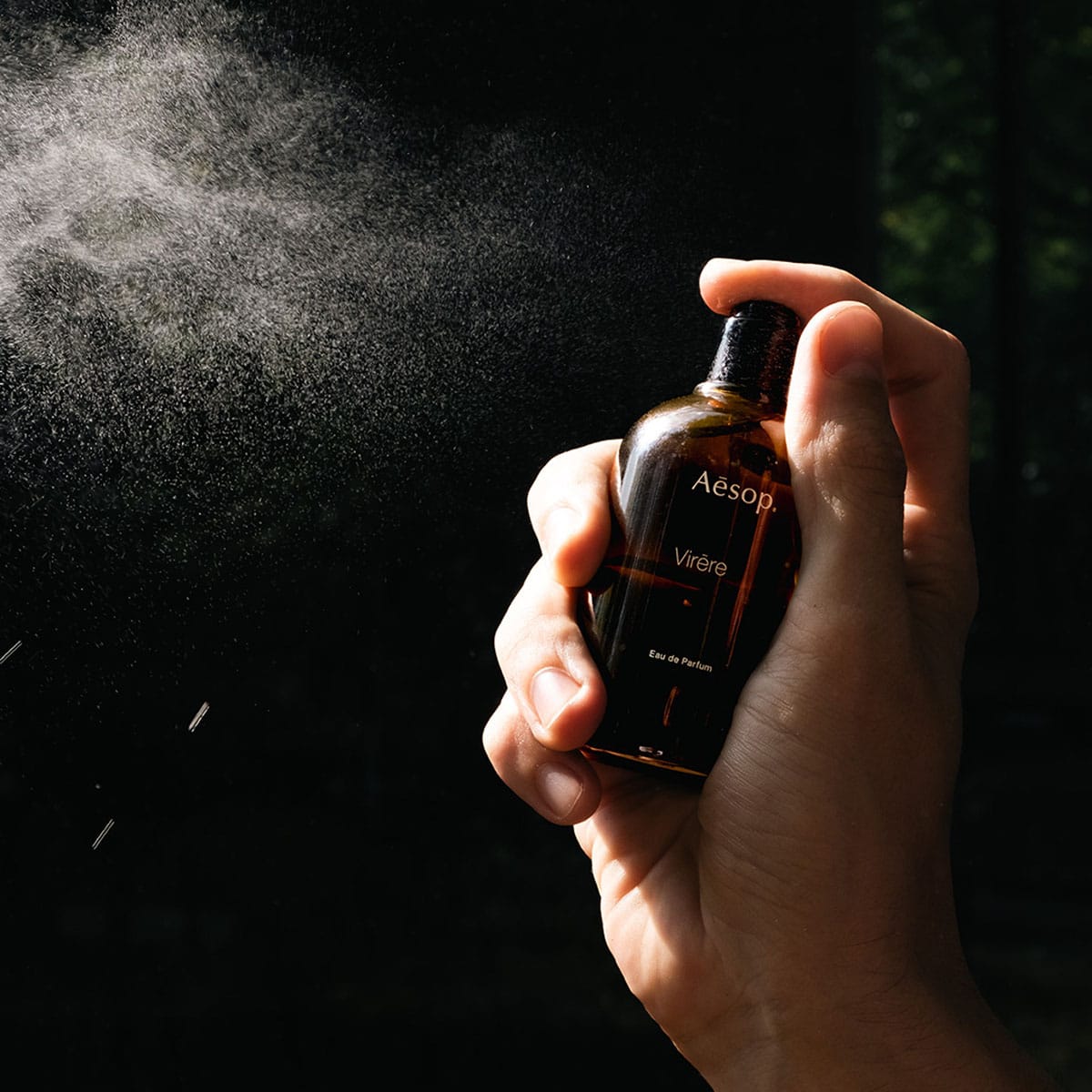 Aesop photo 3