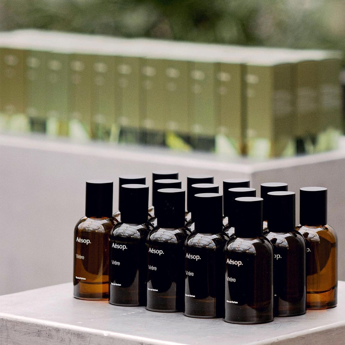 Aesop photo 4