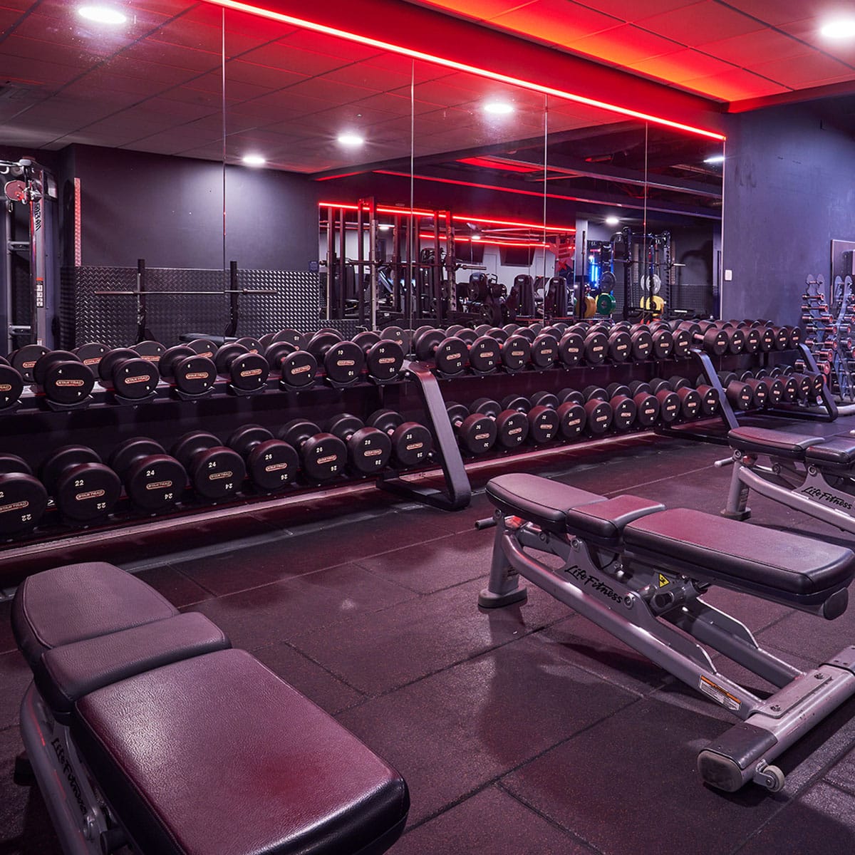 Fitness First — photo 2