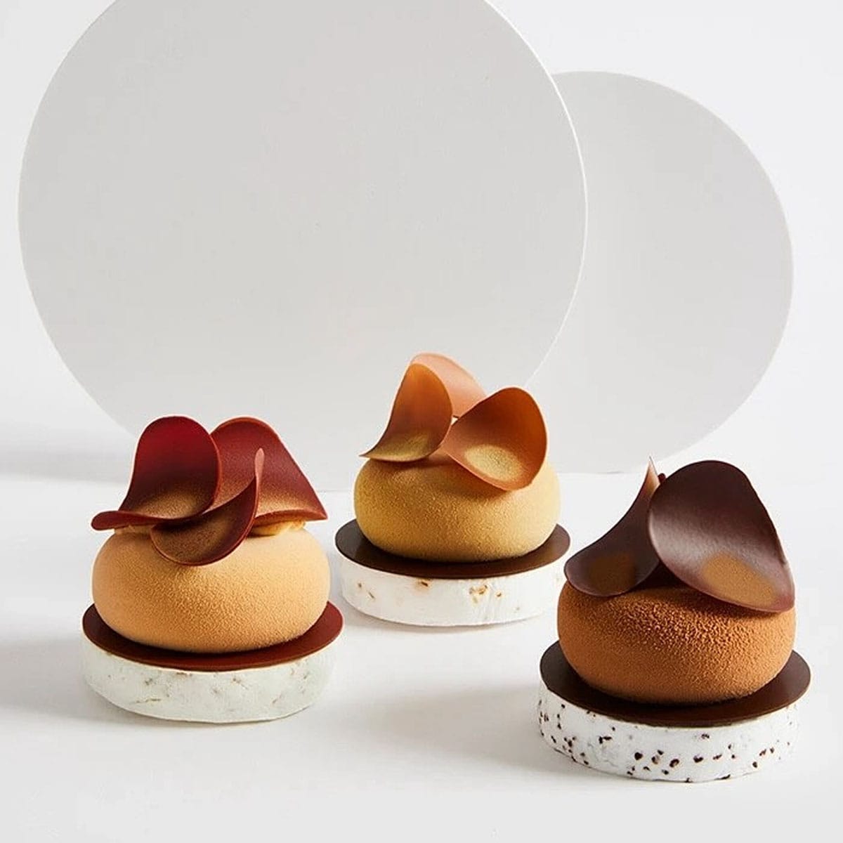 Pierre Marcolini photo 2