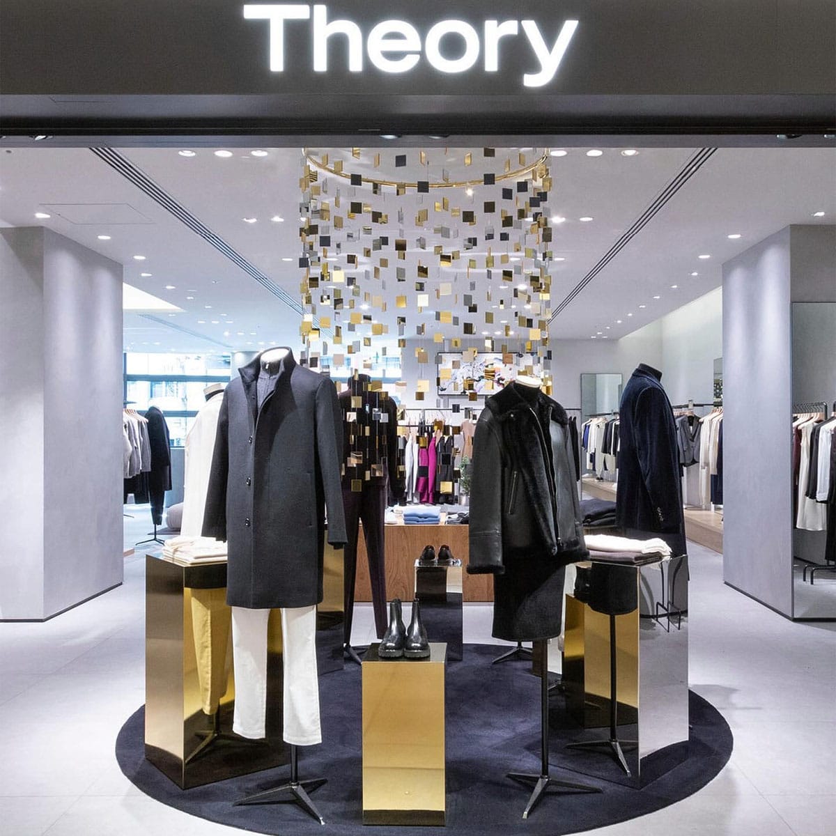 Theory