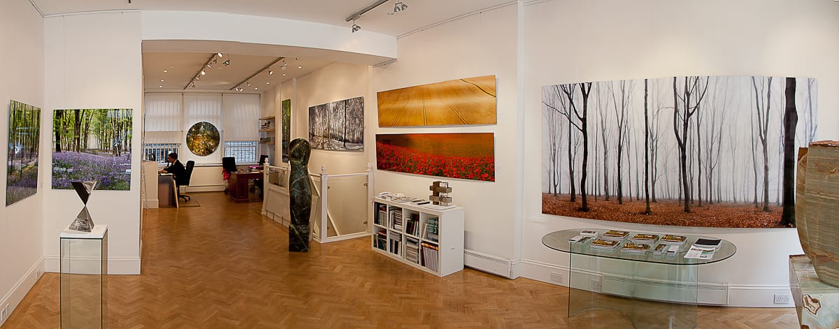 Thompson's Gallery