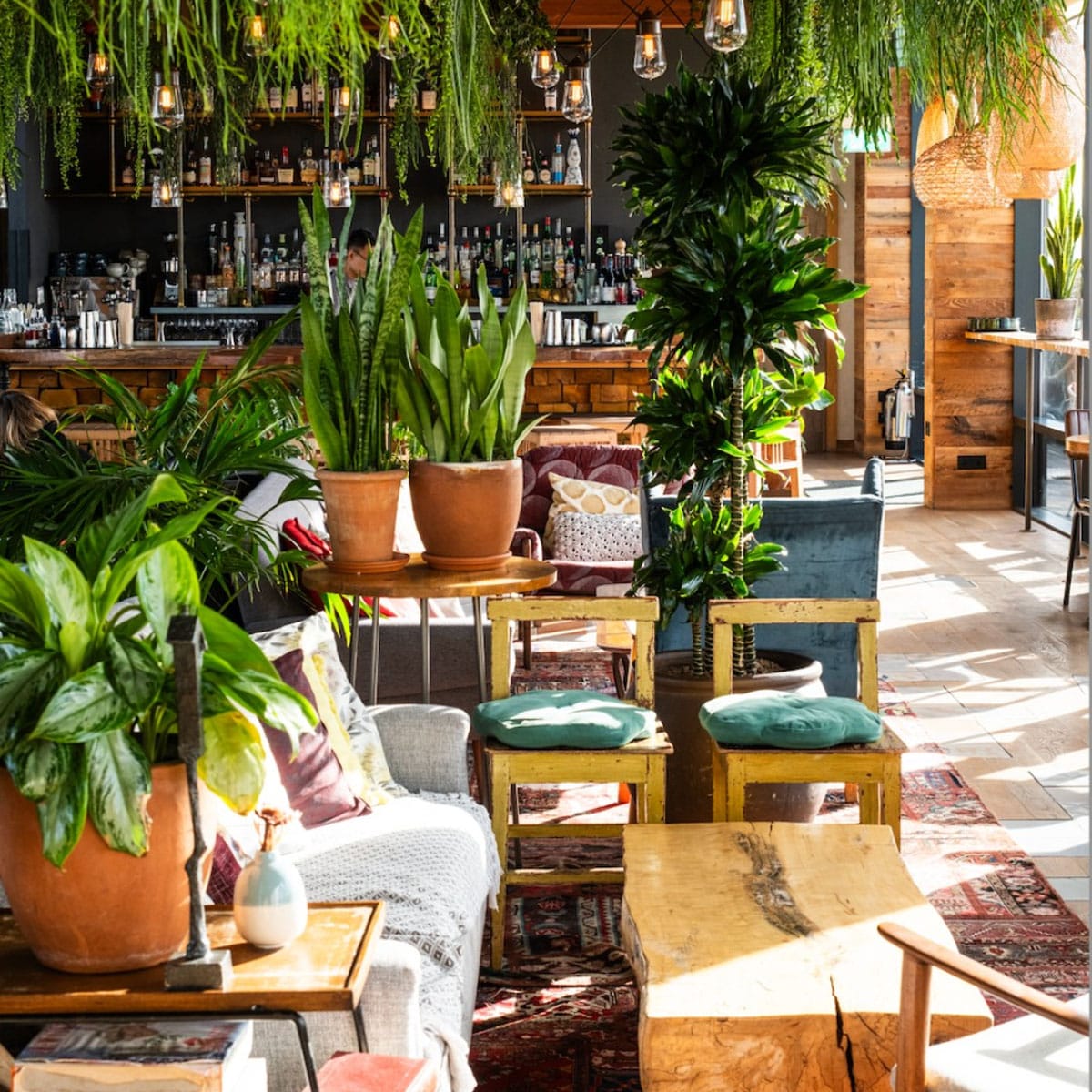 Madera at Treehouse