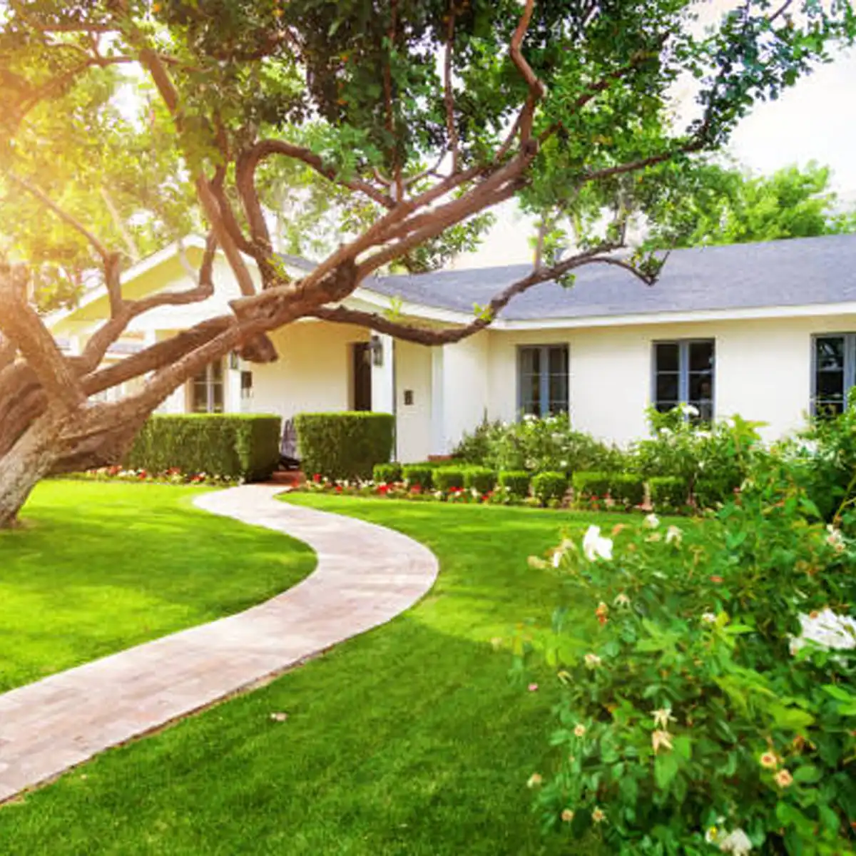 effortless garden, low-maintenance garden, self-sustaining plants