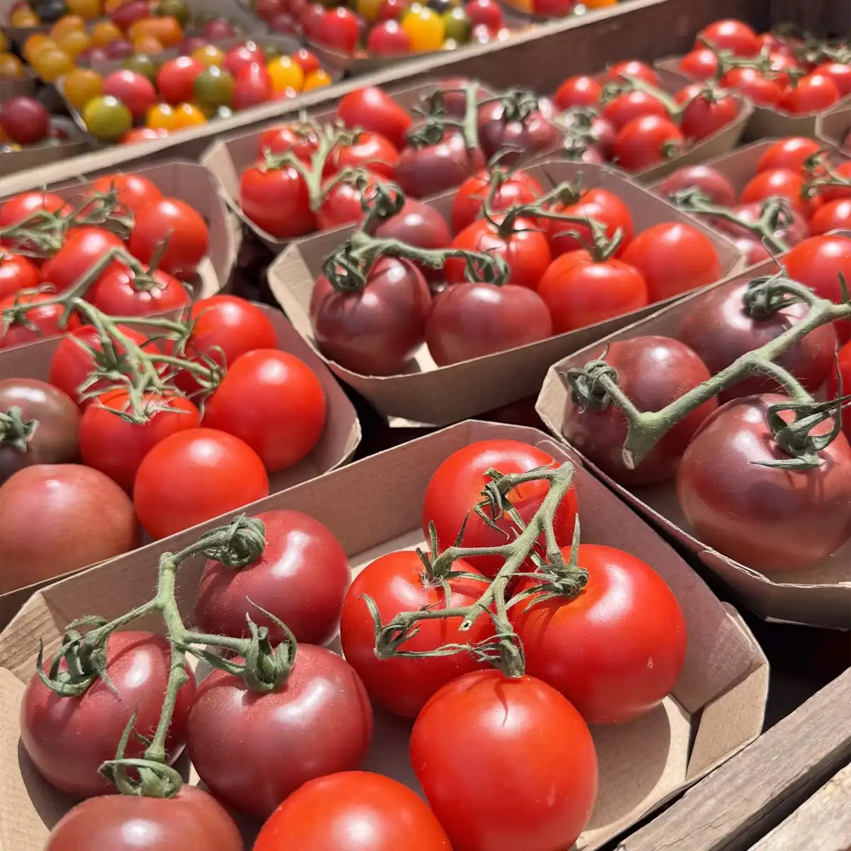 Marylebone Farmers' Market photo 2