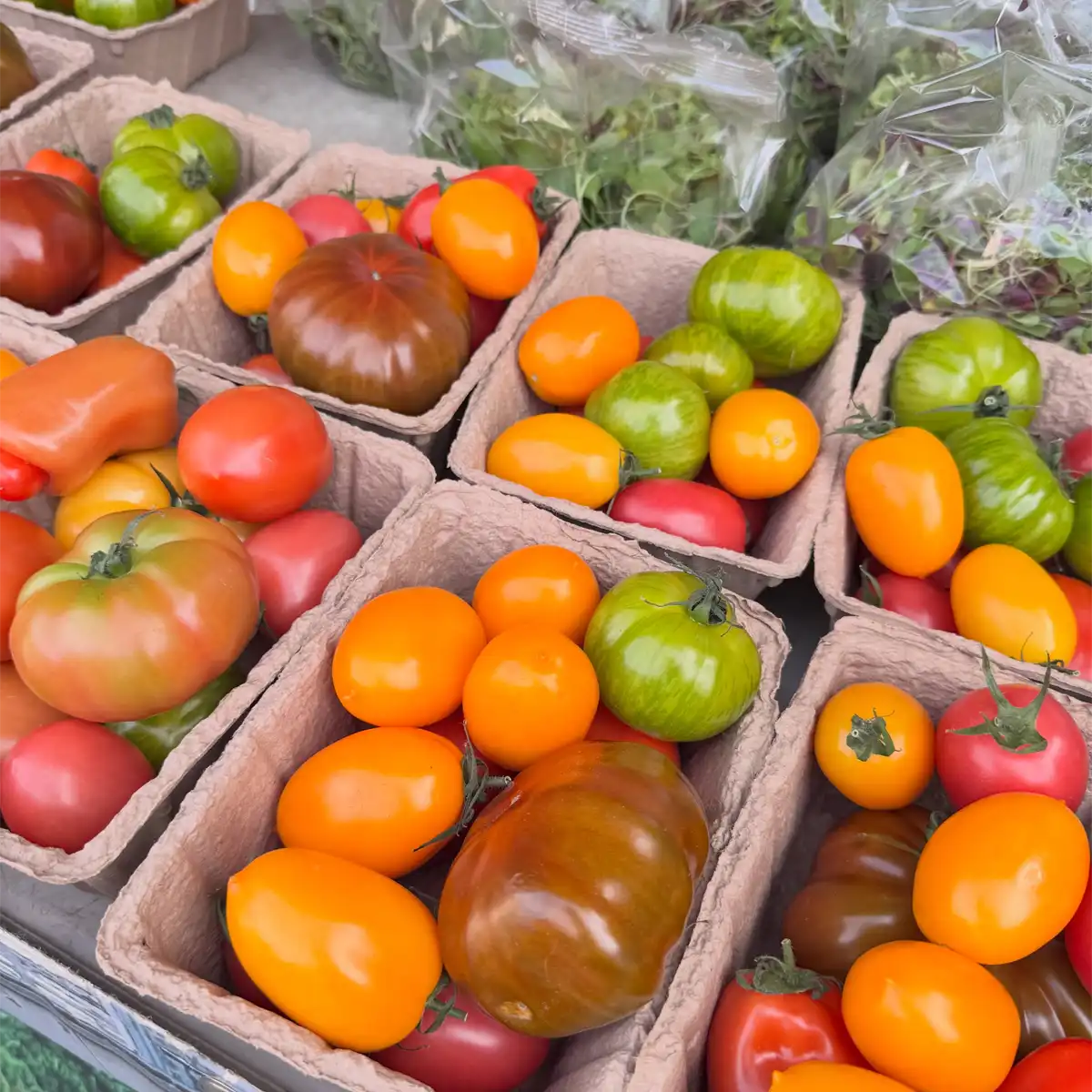 Marylebone Farmers' Market photo 4