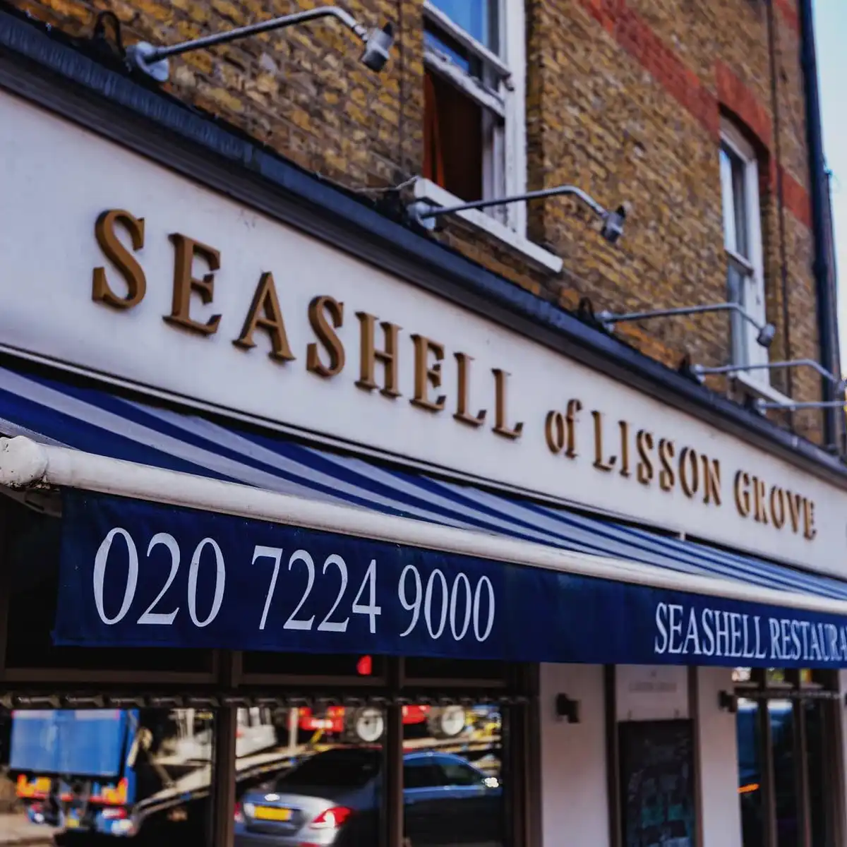 Sea Shell of Lisson Grove